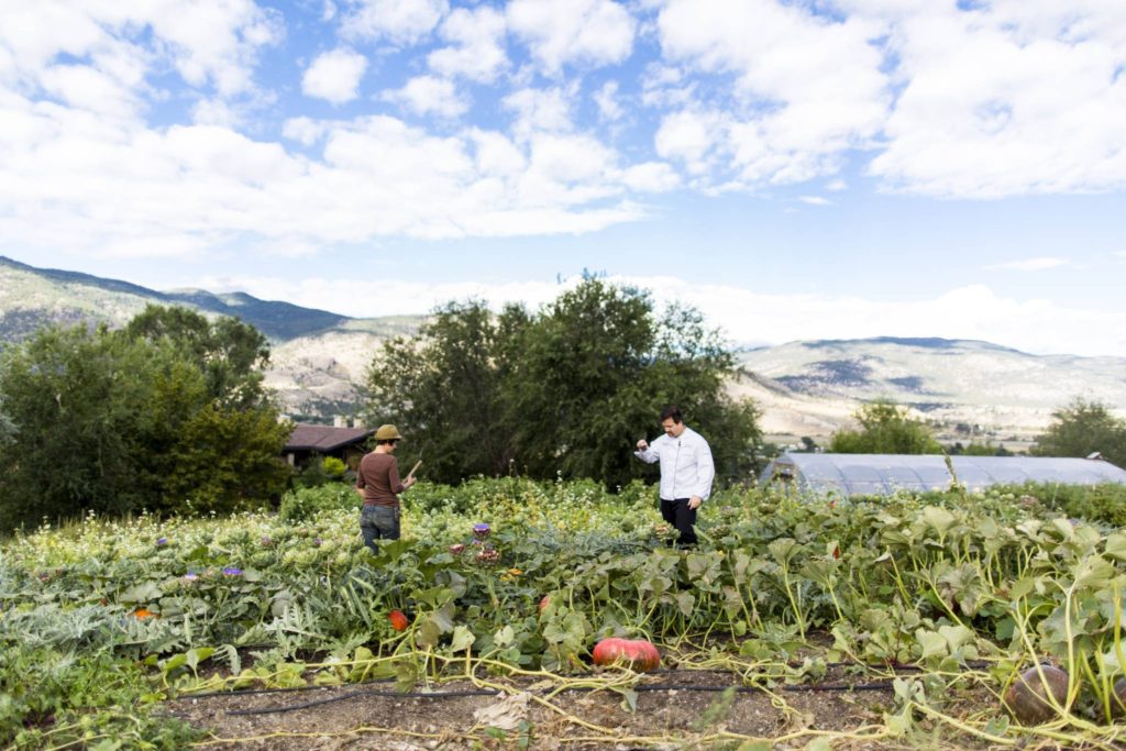 Chef Remington walking through valley view farm 