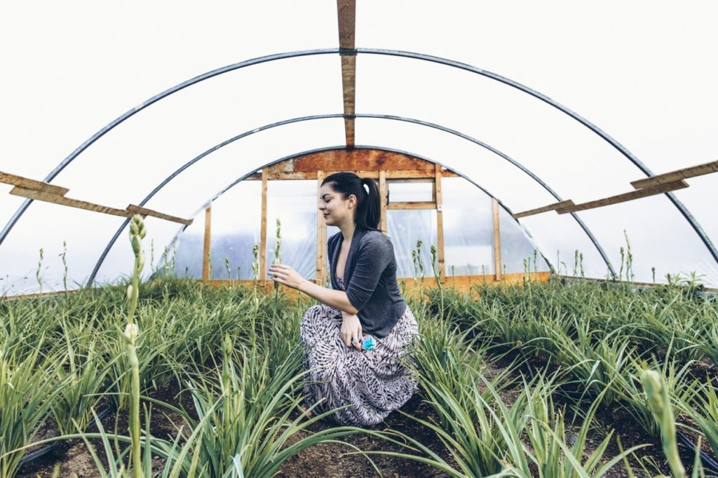 Woman inside greenhouse at valley view farm 