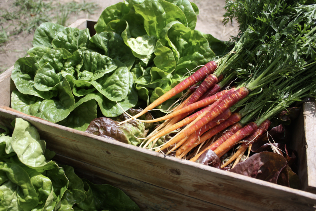 Photo by: Penticton Lakeside Resort & Conference Centre; Taken at the Valley View Farm.