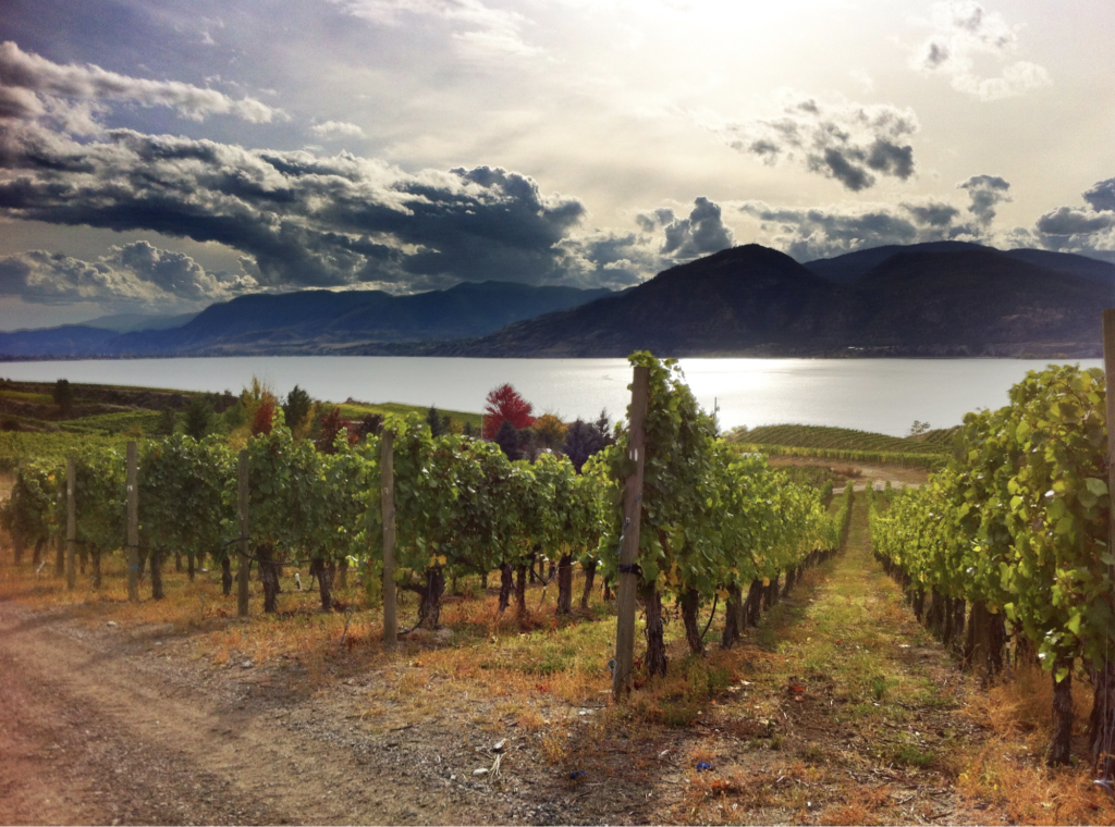 Photo by: Travel Penticton; Get exclusive offers on wine tours when you book with Penticton Lakeside Resort & Conference Centre.