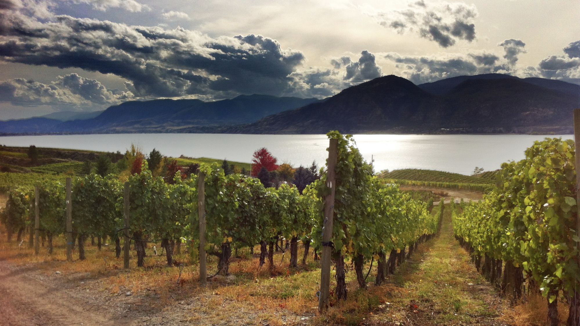 Photo by: Travel Penticton; Get exclusive offers on wine tours when you book with Penticton Lakeside Resort & Conference Centre.