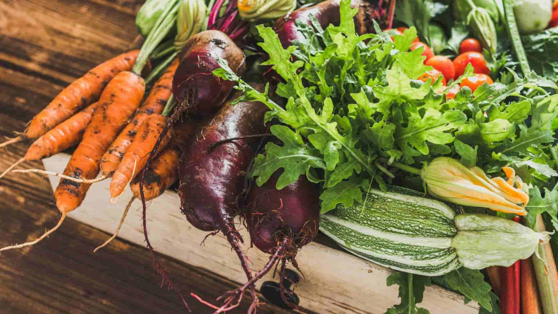 Bio organic vegetables on farmer market, farm fresh vegetable box on wooden background, vegetarian food concept